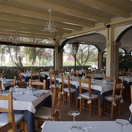 Il Platano San Teodoro (Sardinia)